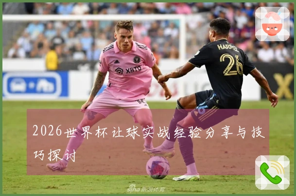 2026世界杯让球实战经验分享与技巧探讨