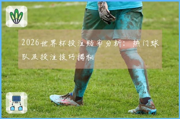 2026世界杯投注赔率分析：热门球队及投注技巧揭秘